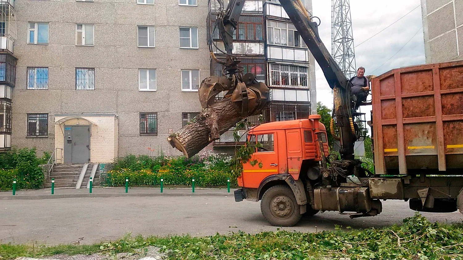 Вывоз спиленных веток и деревьев в Рязани от ПроМусор: порубочные остатки, утилизация, цена от 2978 руб